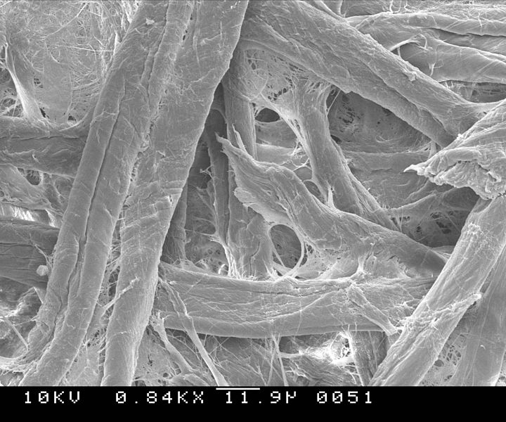 Cellulose blend under a microscope paper under microscope